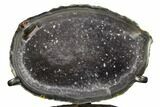 Light Purple Amethyst Jewelry Box Geode with Metal Stand #171888-3